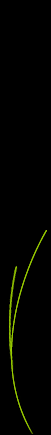 madidi_cropped_ot_stun